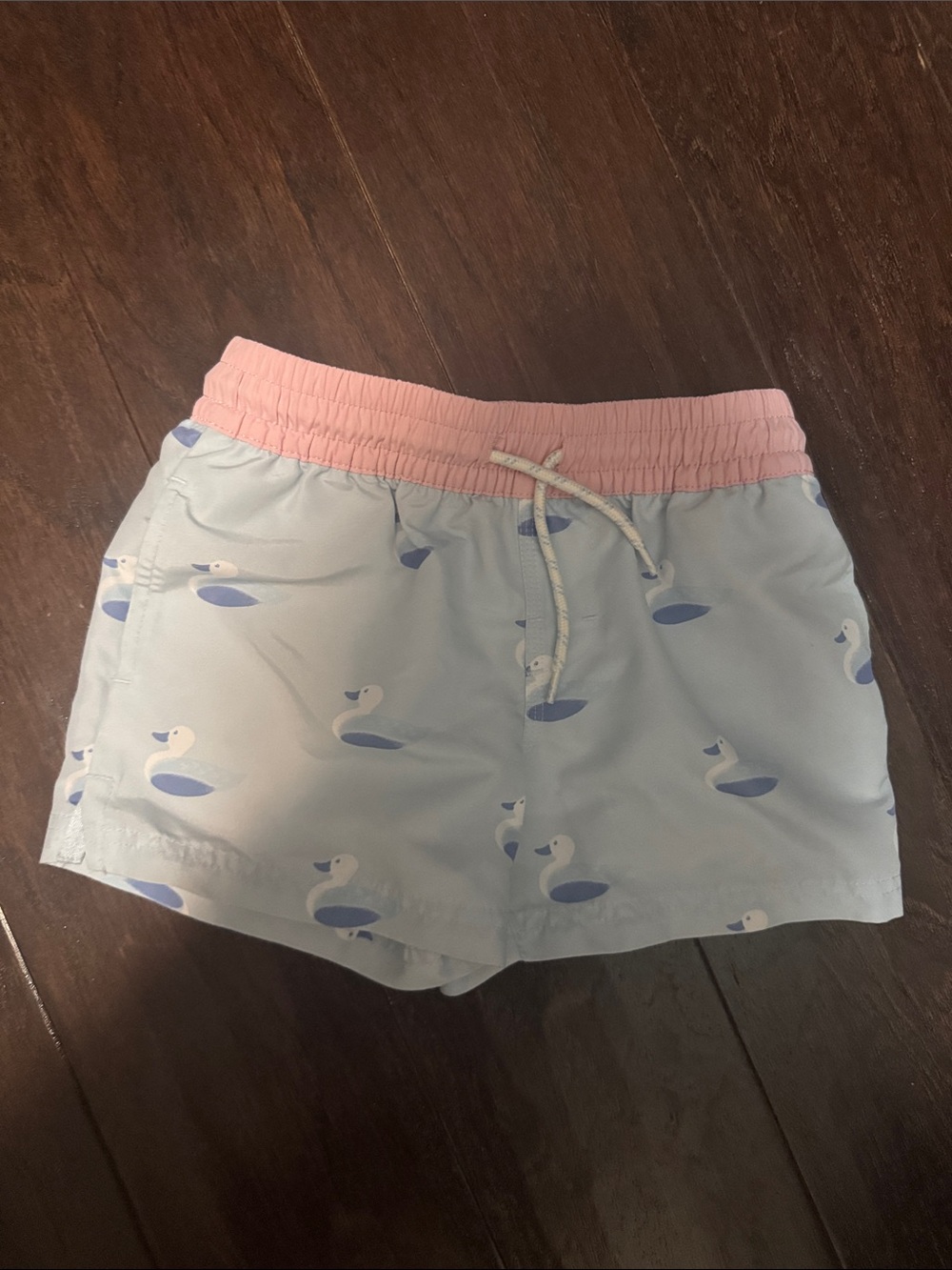 The Beaufort Bonnet Company Light Blue Swim Trunks with Pink Waistband